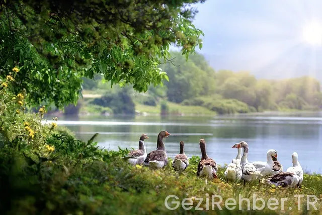 İtalya da göl gezi