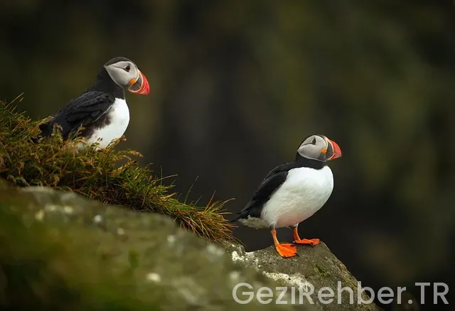 İzlanda ile türkiye arasındaki saat farkı
