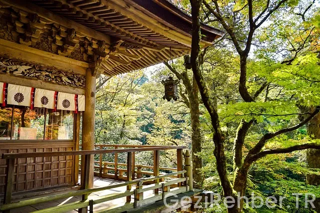 Japonya türkiye saat farkı