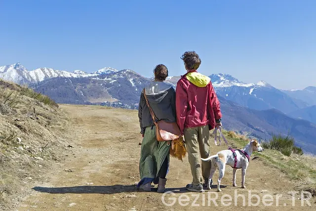 Kanada gezi turları