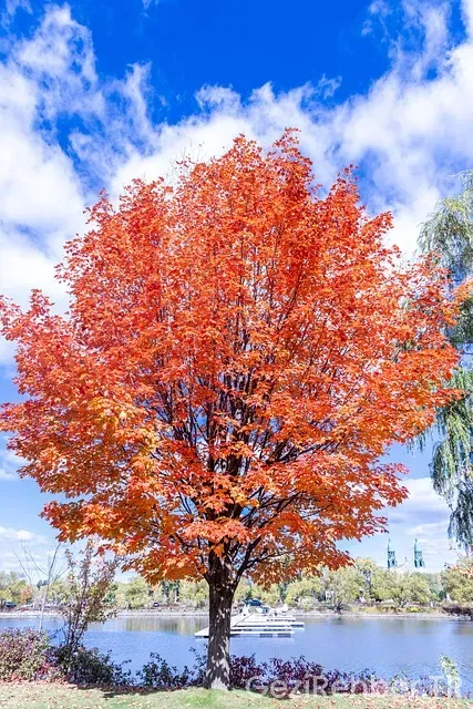 Kanada montreal türkiye saat farkı