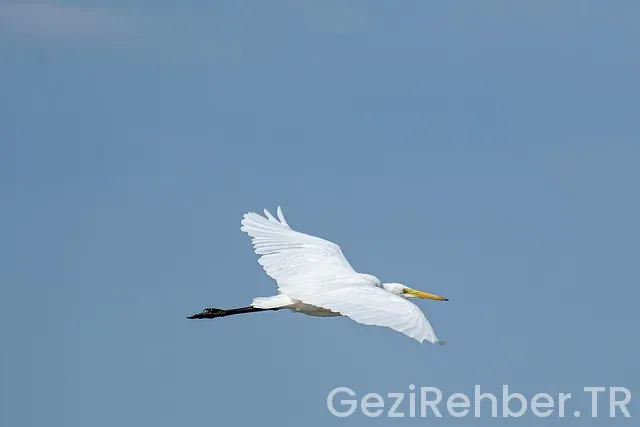 Karadeniz gezi turları fiyatları