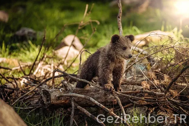 Kasım ayı gezi turları