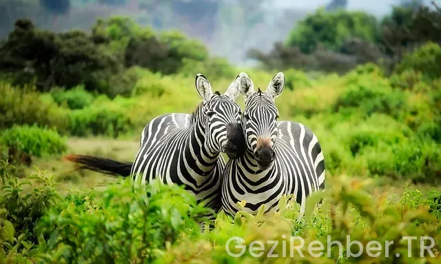 Kenya ile türkiye arasındaki saat farkı Kenya ile türkiye arasındaki saat farkı