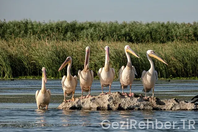 Kıbrıs gezi turları