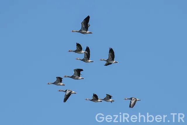 Kıbrıs gezi turları
