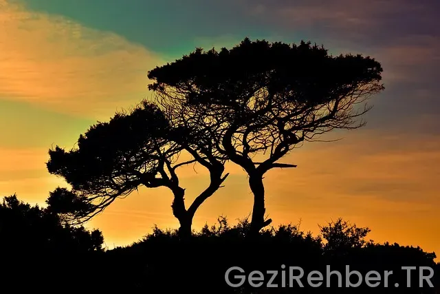 Kıbrıs günlük gezi turları