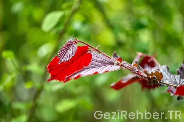 Kırkısiztan saat farkı türkiye Kırkısiztan saat farkı türkiye
