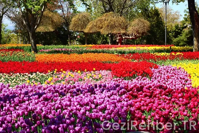 Konya gezi tur firmaları