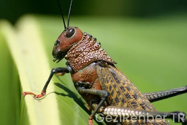 Kosta rika türkiye arası saat farkı