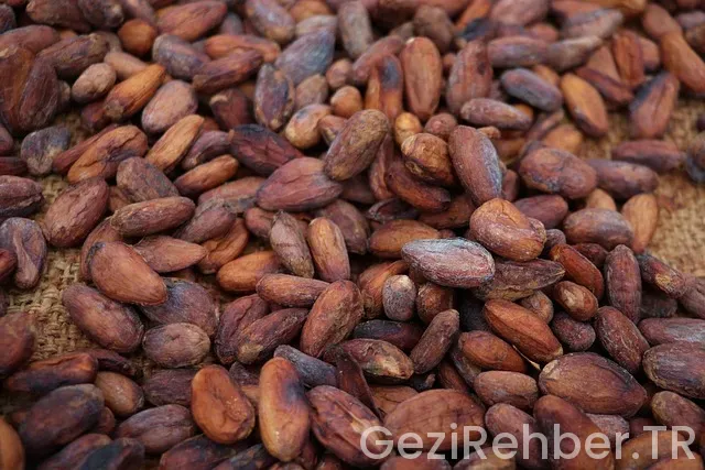 Kosta rika türkiye arası saat farkı