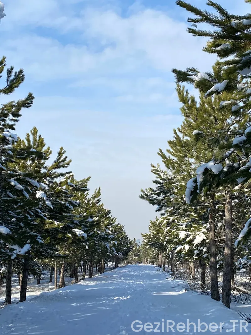Koyde unutulmaz yol hikayeleri