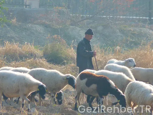 Krasnodar ile türkiye arasındaki saat farkı kaç Krasnodar ile türkiye arasındaki saat farkı kaç
