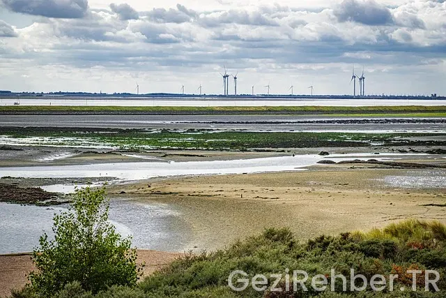 Kuveyt iş imkanları