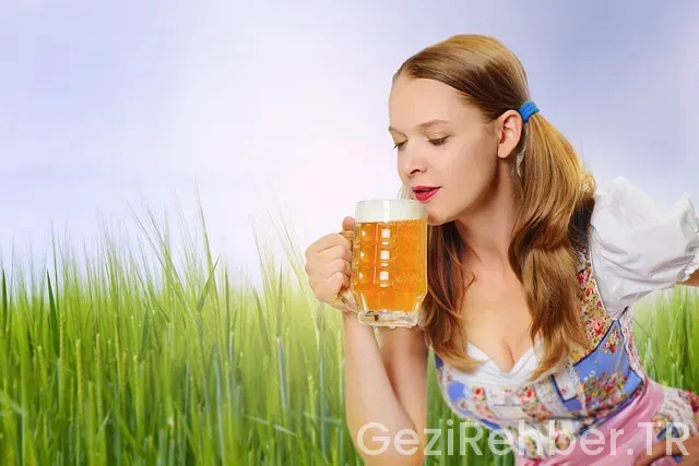 Kuveyte nasil gidilir