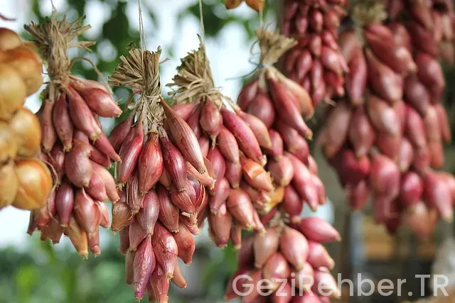 Kuveytte yaşam şartları Kuveytte yaşam şartları