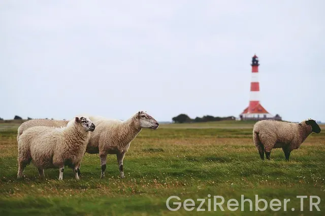 Kuzey denizi ile türkiye saat farkı
