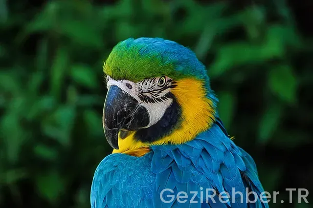 Kuzey kore ve türkiye arasındaki saat farkı