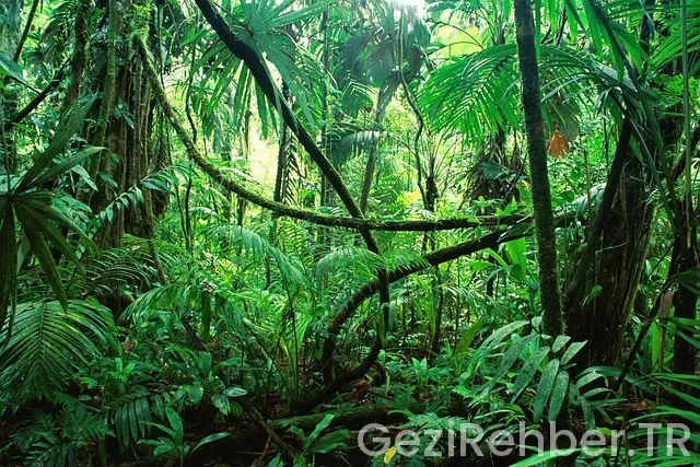 La spezia gezi rehberi