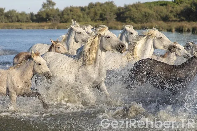 La spezia gezi rehberi