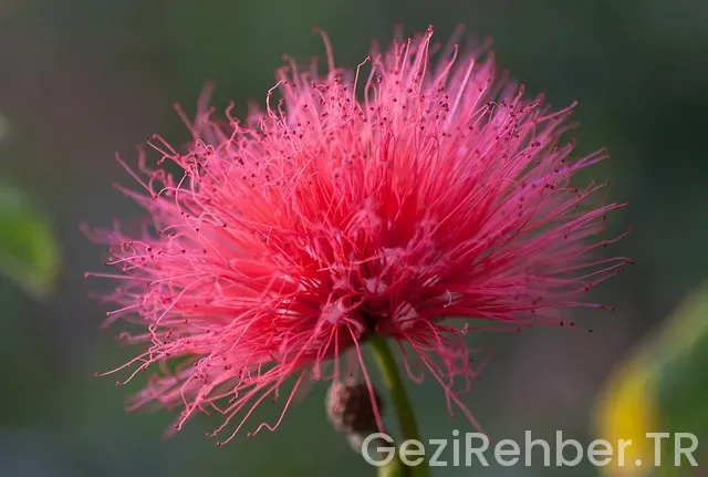 Los angeles ile türkiye saat farkı