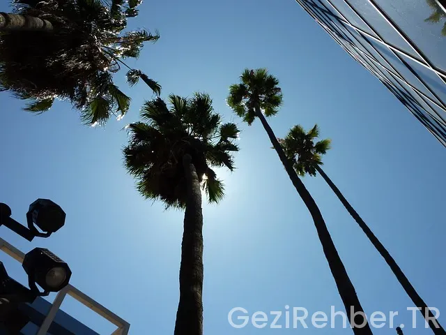 Los angeles ve türkiye arasındaki saat farkı