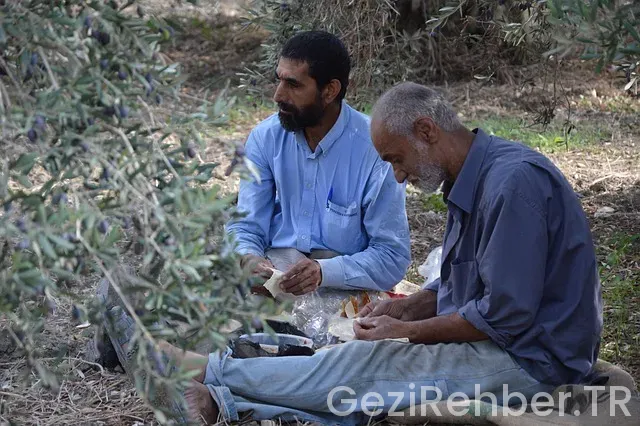 Lübnan gezi turları