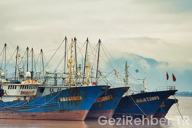 Lüfer gezi tekneleri