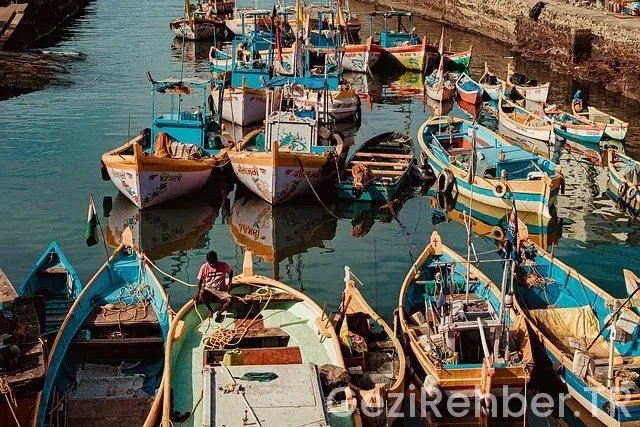 Lüfer gezi tekneleri