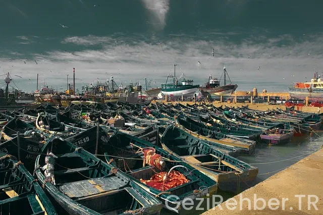 Lüfer gezi tekneleri