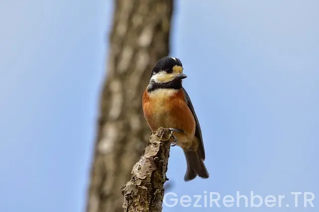 Luxembourg gezi rehberi