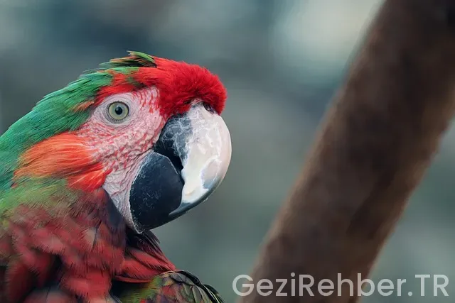 Makedonya ile türkiye arasındaki saat farkı