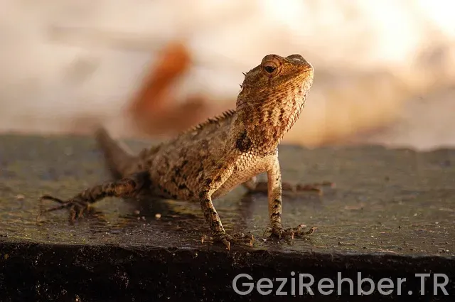 Maldivler türkiye arası saat farkı