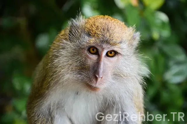 Malezya türkiye kaç saat farkı
