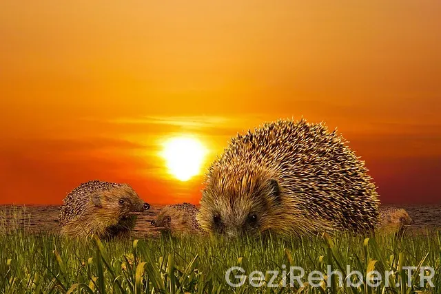 Maxi gezi doğu anadolu turu