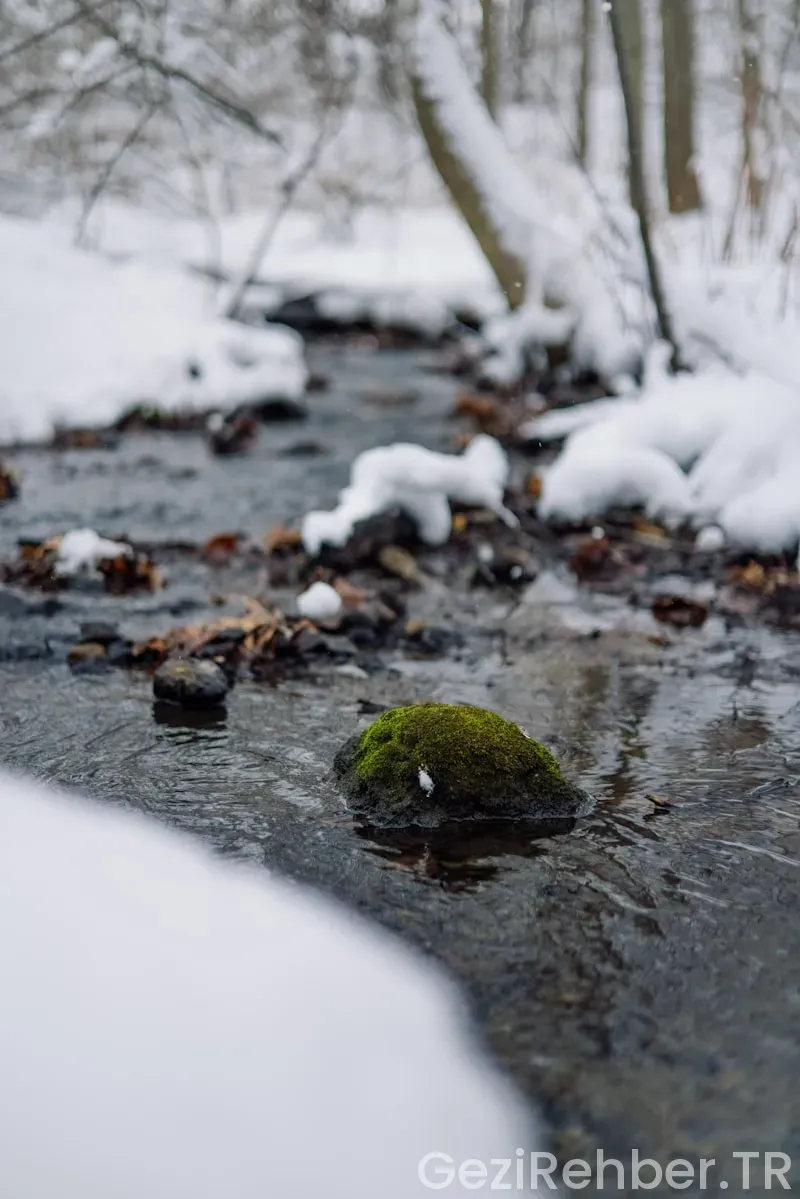 Mersinden kıbrısa gezi maliyeti 2025
