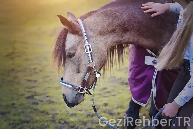 Midilli adası gezi rehberi