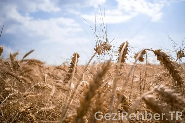 Mısır ile türkiye arasındaki saat farkı
