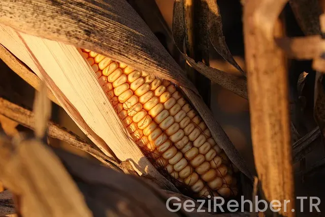 Mısır türkiye saat farkı