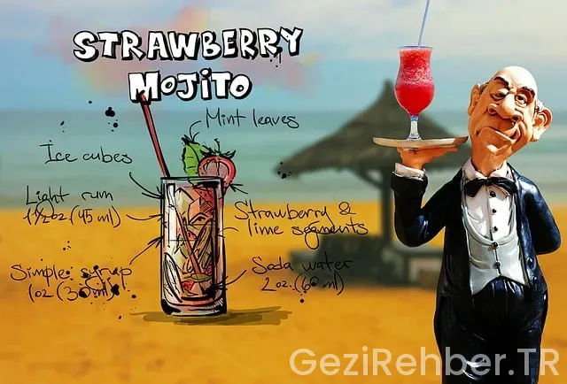Mojito nedir