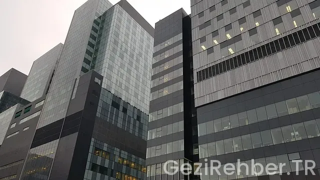 Montreal gezi rehberi