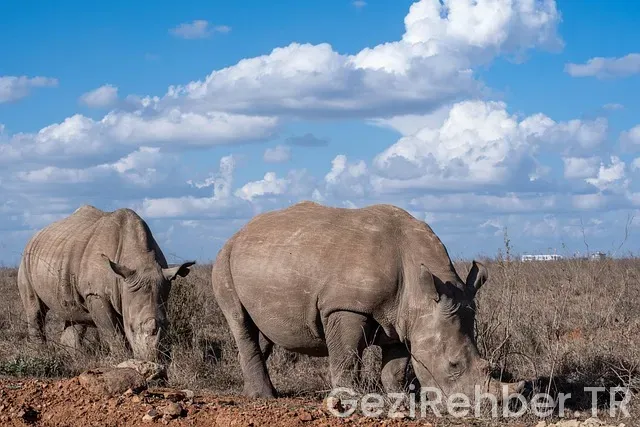Nairobi türkiye saat farkı