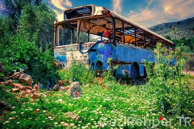 Otobüs gezi turları