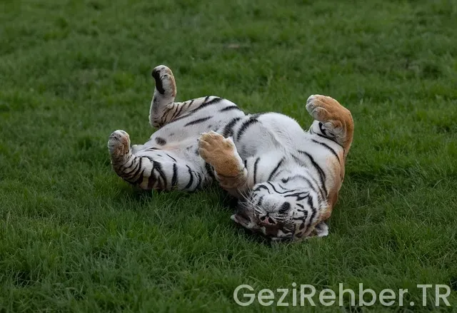 Rusya amur türkiye saat farkı