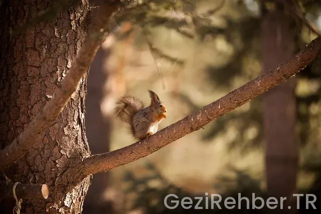 Rusya ile türkiye arasindaki saat farkı
