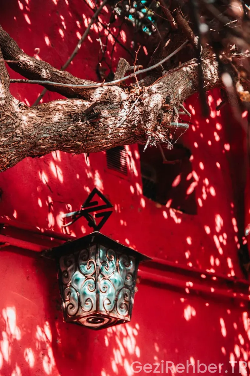 Said nursi'nin iman yolunda katlandığı çileler hikayeler