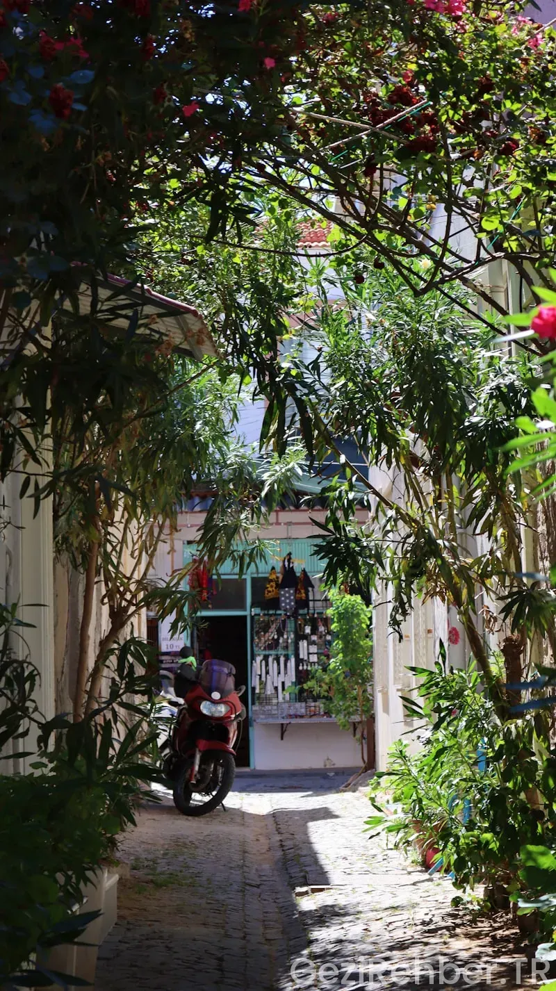 Sakız Adası gezi​