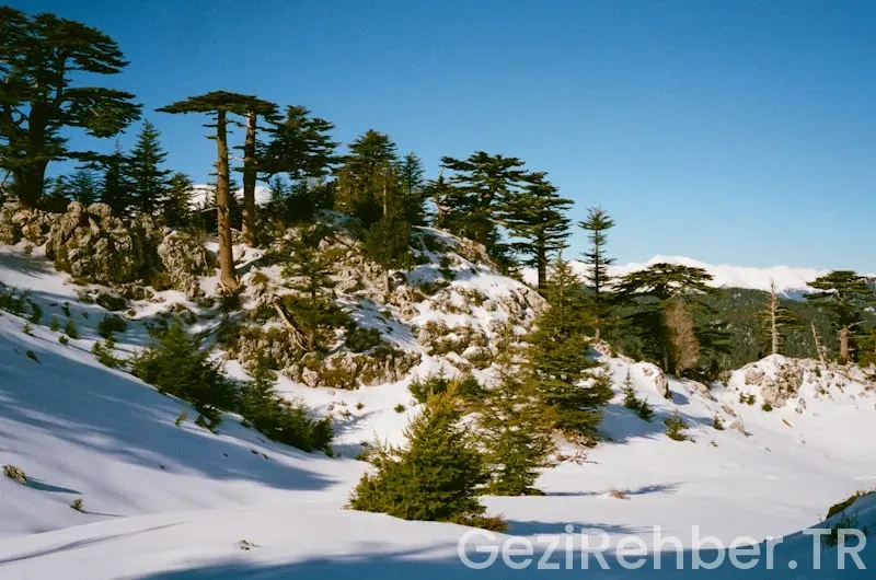 Saman yolu hayat hikayeler