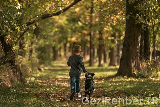 Samos en iyi plajlar