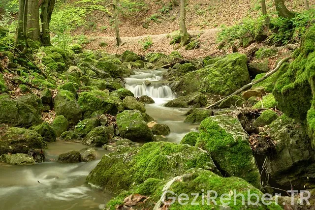 Samsun gezi tur firmaları